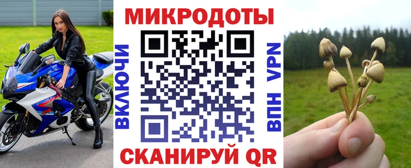 как найти закладки  Сухиничи  Галлюциногенные грибы мухоморы 