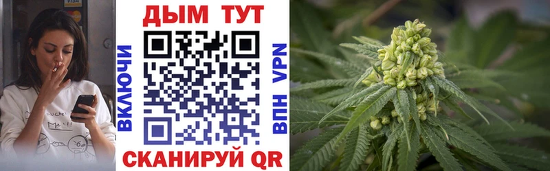 Шишки марихуана Amnesia  сайты даркнета официальный сайт  Сухиничи  где найти  